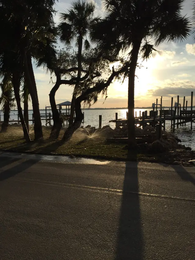 Sunset over the water on a Brevard property, palms silhouetted and a Hartmann zone misting in the foreground light